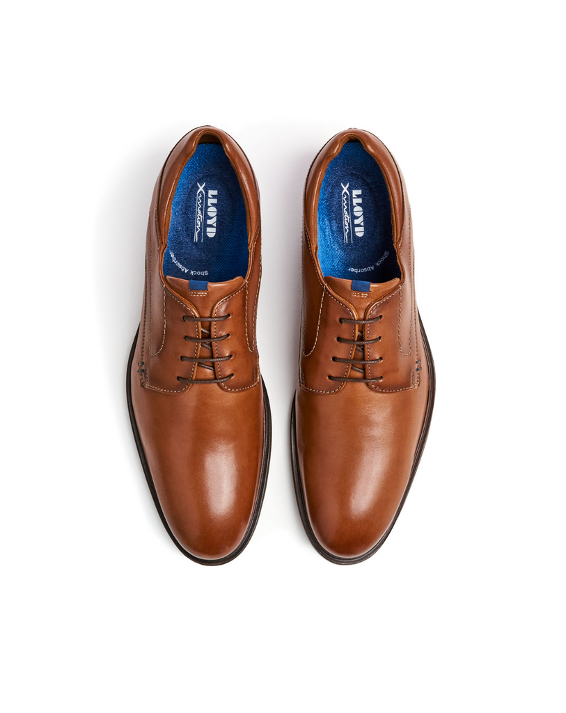 cfc0211f-2dba-4419-9925-b27f85f0089c